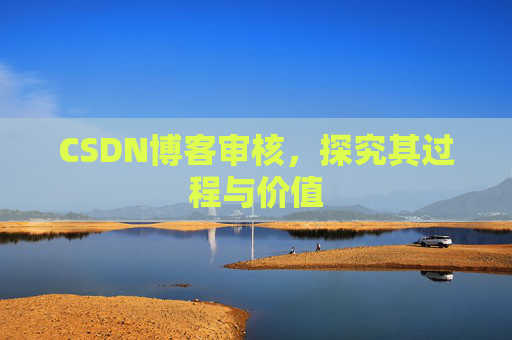 CSDN博客审核,探究其过程与价值